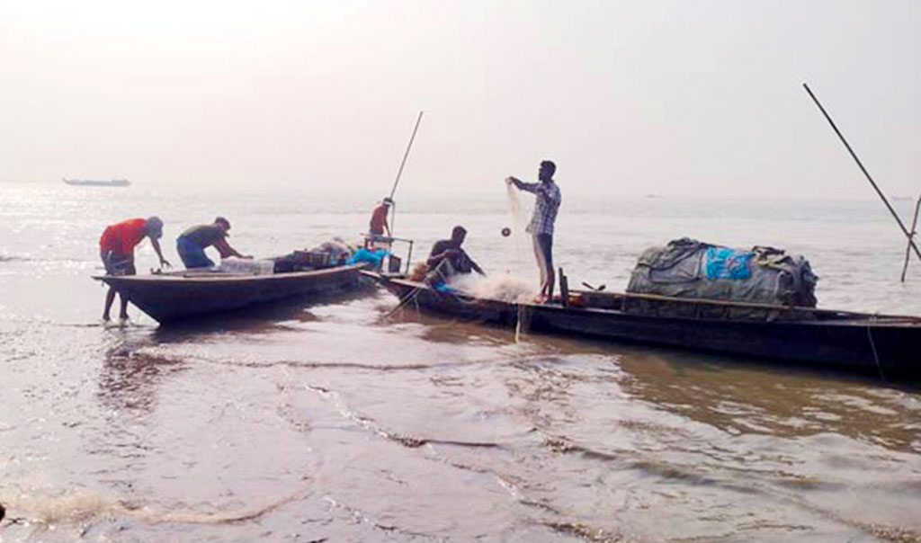 পদ্মা-যমুনায় মিলছে না ইলিশ, দুশ্চিন্তায় জেলেরা