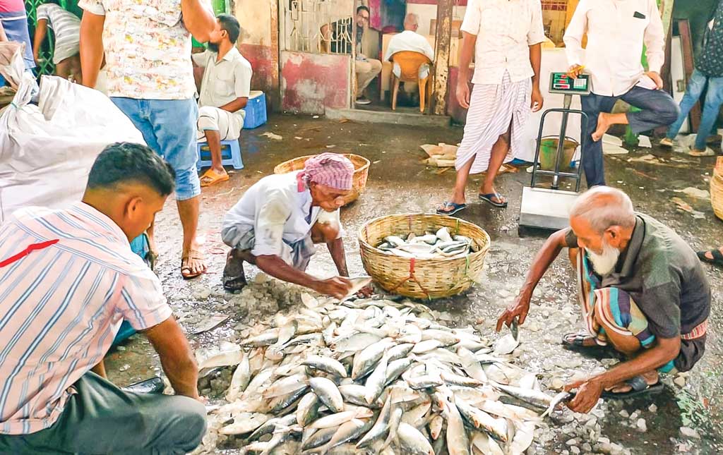 বরিশাল অঞ্চল: ৪ কারণে ইলিশের দেখা নেই