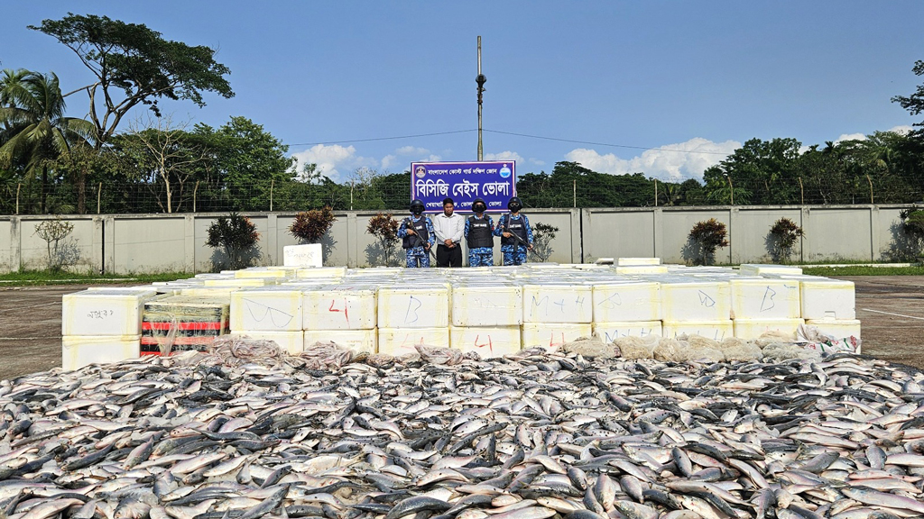 ভোলায় কোটি টাকার সামুদ্রিক ইলিশ জব্দ