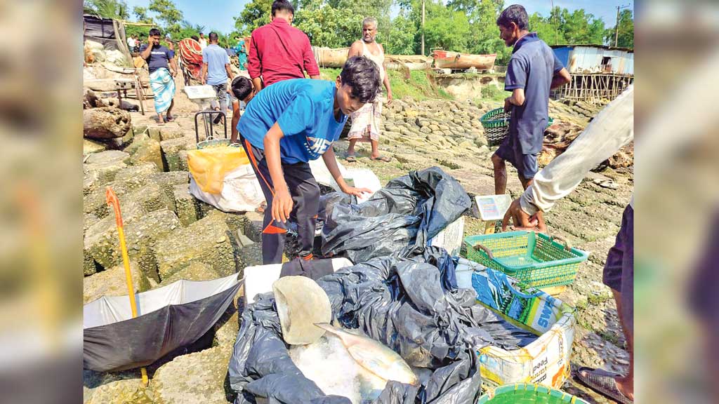 জলবায়ু, শিল্পবর্জ্য আর বৈরীআবহাওয়ায় বিপাকে জেলেরা