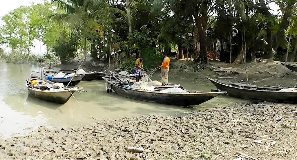 ভরা মৌসুমেও দুমকির পায়রা-লোহালিয়া নদীতে নেই ইলিশ, খালি হাতে ফিরছেন জেলেরা