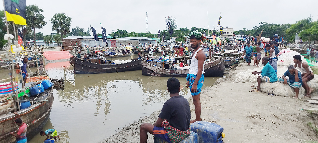 ভরা মৌসুমেও হাতিয়ায় ইলিশের আকাল, ২০ ঘাটের লক্ষাধিক মানুষের মানবেতর জীবন