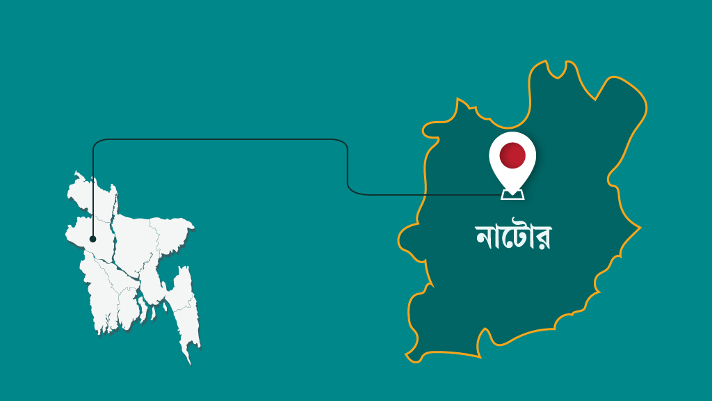 বড়াইগ্রামে নারী ইউপি সদস্যের কাছে চাঁদা দাবি, অভিযুক্ত বিএনপির নেতা-কর্মী