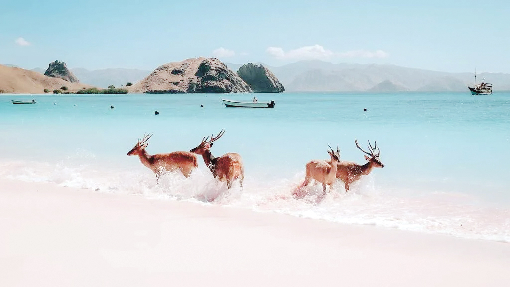 এশিয়ার সেরা ৫ ভ্রমণ গন্তব্য