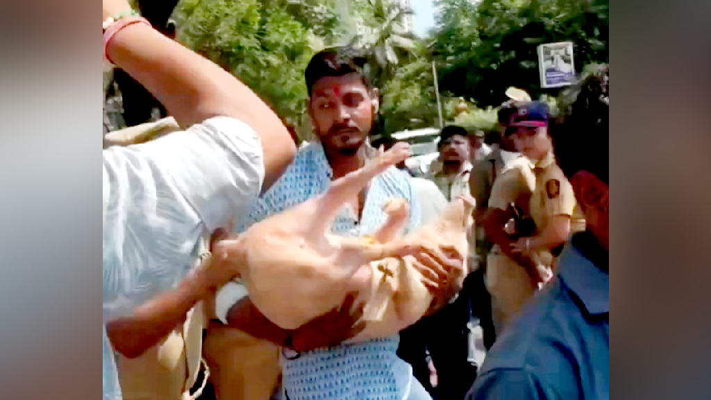 মহারাষ্ট্রে কোরবানির ছাগল রাখাকে কেন্দ্র করে উত্তেজনা, শূকর নিয়ে বিক্ষোভে হিন্দুরা