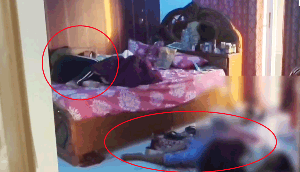 স্বামী মৃত, ছেলে ছুরিকাঘাতে রক্তাক্ত—পাশে বসে মোবাইল চাপছিলেন চিকিৎসক স্ত্রী