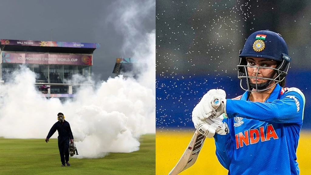 পোকার আক্রমণে বন্ধ ছিল ভারত-পাকিস্তান ম্যাচ