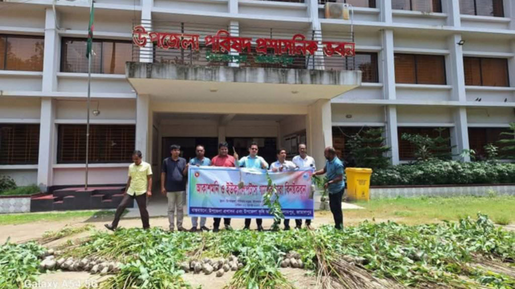 সরকারি স্থাপনাতেই ইউক্যালিপটাস, ধ্বংস শুধু নার্সারির চারা