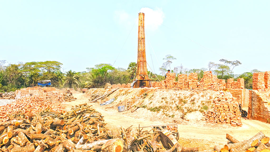 ভোলার চরফ্যাশন: অবৈধ ইটভাটায় পুড়ছে কাঠ