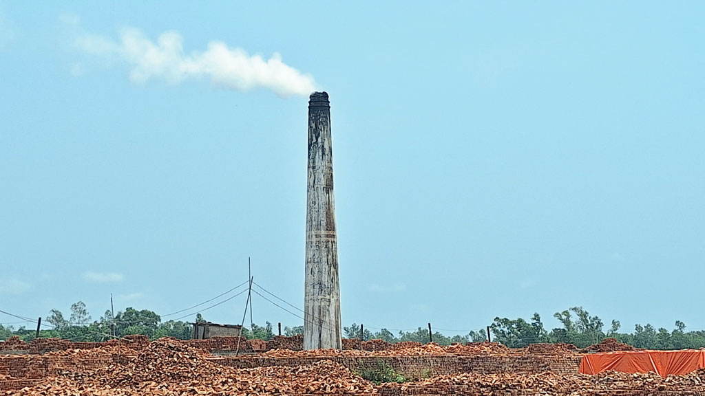 অবৈধ ইটভাটার ধোঁয়ায় ফসল-পরিবেশের ক্ষতি