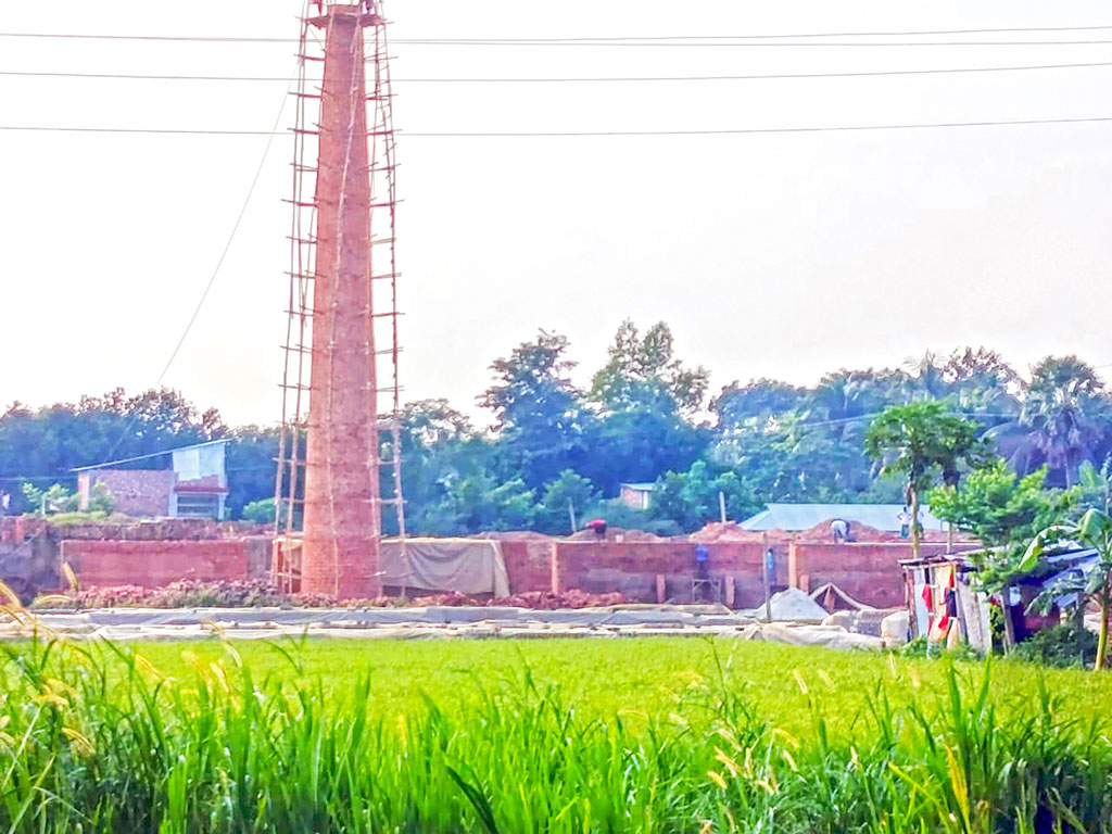 কুমিল্লার চৌদ্দগ্রাম: গুঁড়িয়ে দেওয়া ইটভাটা ফের চালু