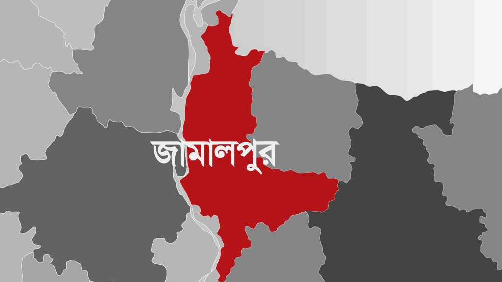 জামালপুর ধানখেতে সেচ দিতে গিয়ে বিদ্যুৎস্পর্শে প্রাণ গেল কৃষকের