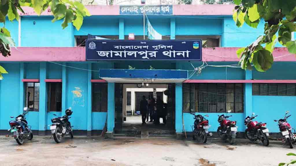 যুবলীগের ব্যানারে মুখোশধারীদের মশাল মিছিল, ওসির দাবি—‘এআই ভিডিও’