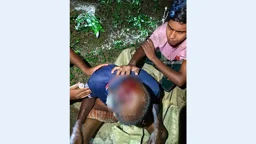 নির্জনে বৃদ্ধ চালককে জখম করে ভ্যান নিয়ে চম্পট যাত্রী