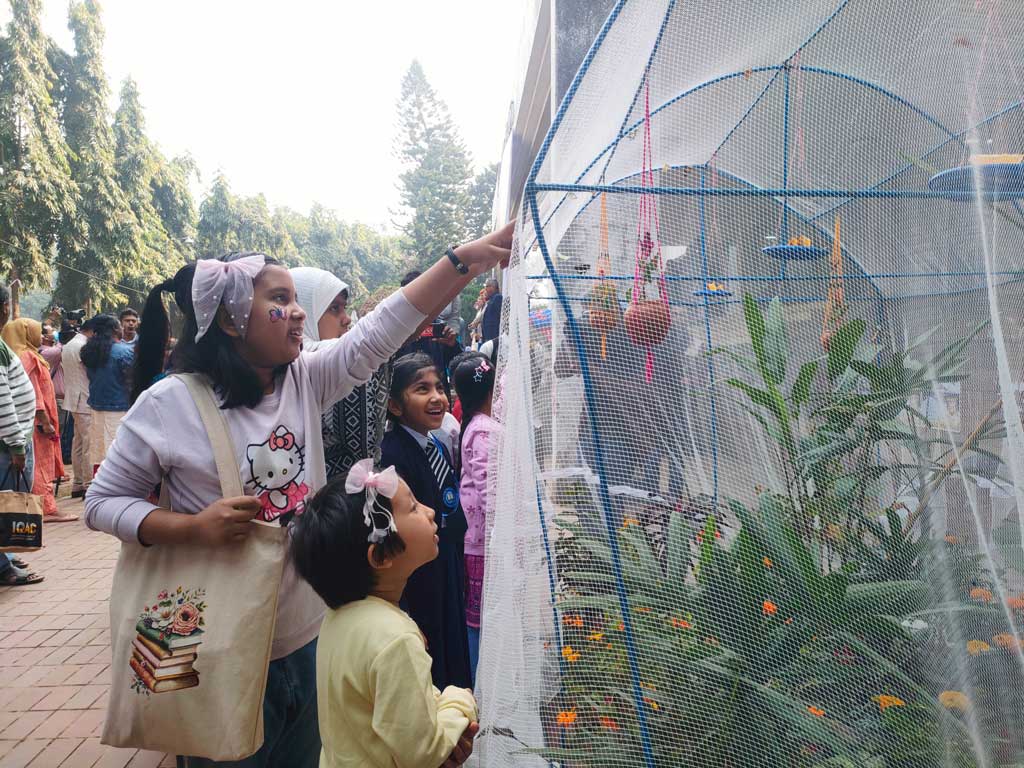 প্রজাপতির রঙে রঙিন জাহাঙ্গীরনগর বিশ্ববিদ্যালয়। ছবি: আজকের পত্রিকা