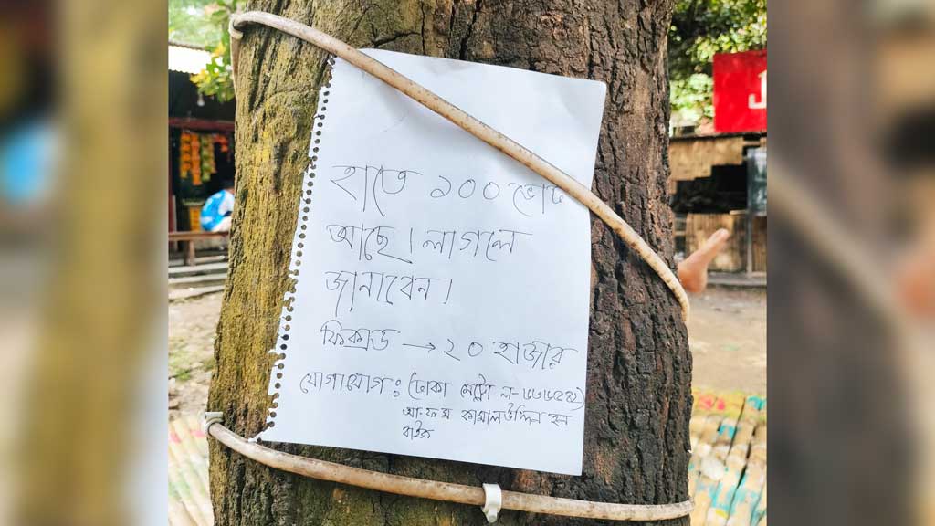 ২০ হাজার টাকায় জাকসুর ১০০ ভোট