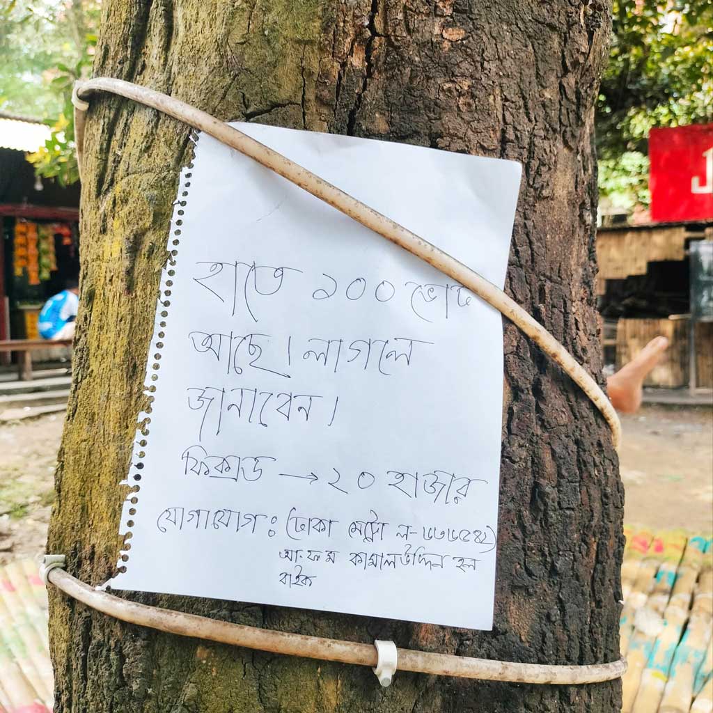 জাবি ক্যাম্পাসের গাছে কাগজটি। ছবি:আজকের পত্রিকা
