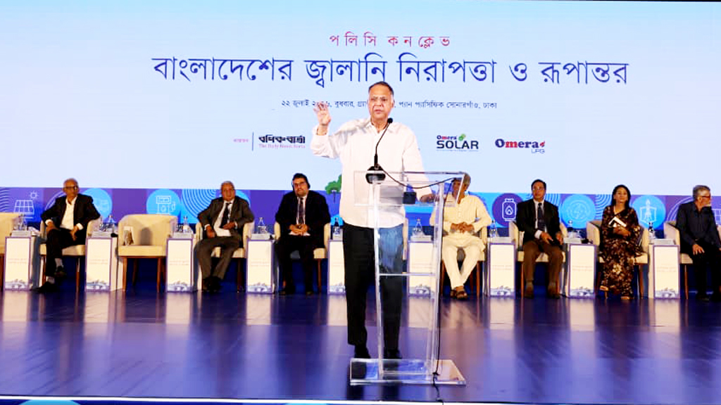 বিদ্যুৎ বিতরণ খাতে বেসরকারি বিনিয়োগ চায় সরকার