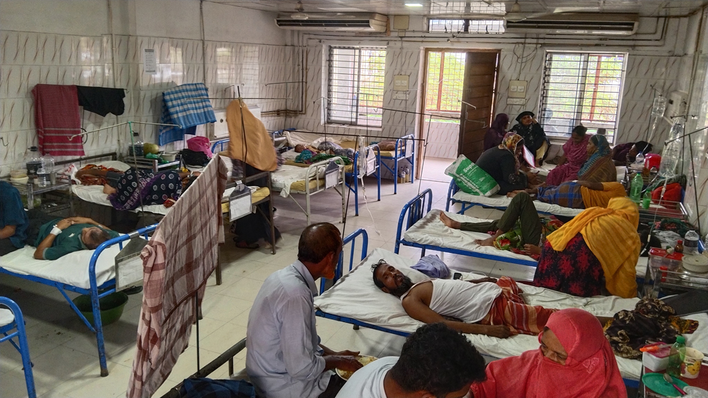 ঝালকাঠিতে ডেঙ্গুর প্রকোপ বাড়ছে, এক দিনে ভর্তি ২৬