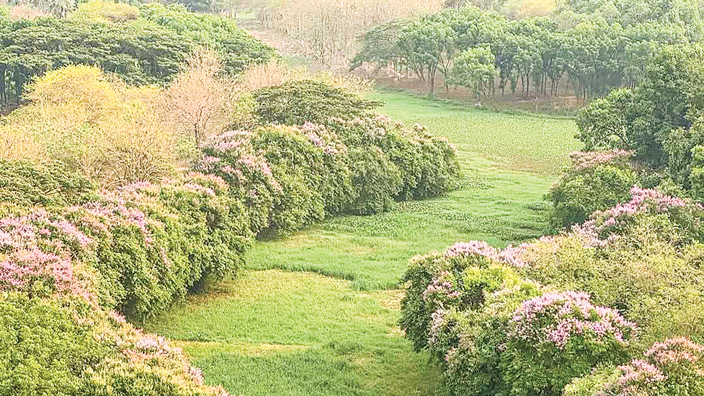যে ছবি কাঁদায়, ভাবায়
