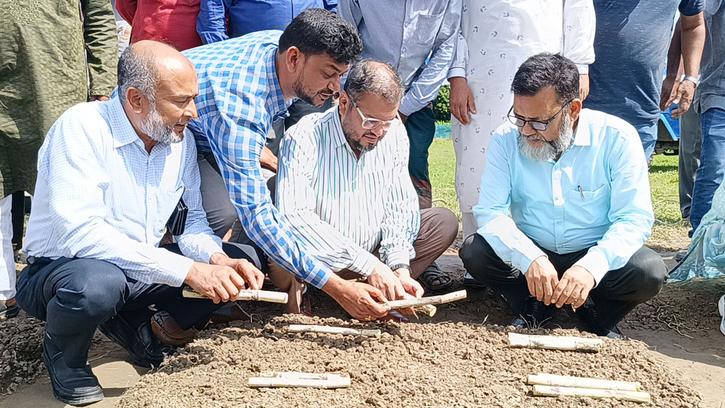 কৃষকের আখের মূল্য ৪৮ ঘণ্টার মধ্যে পরিশোধ করা হবে: বিএসএফআইসির চেয়ারম্যান