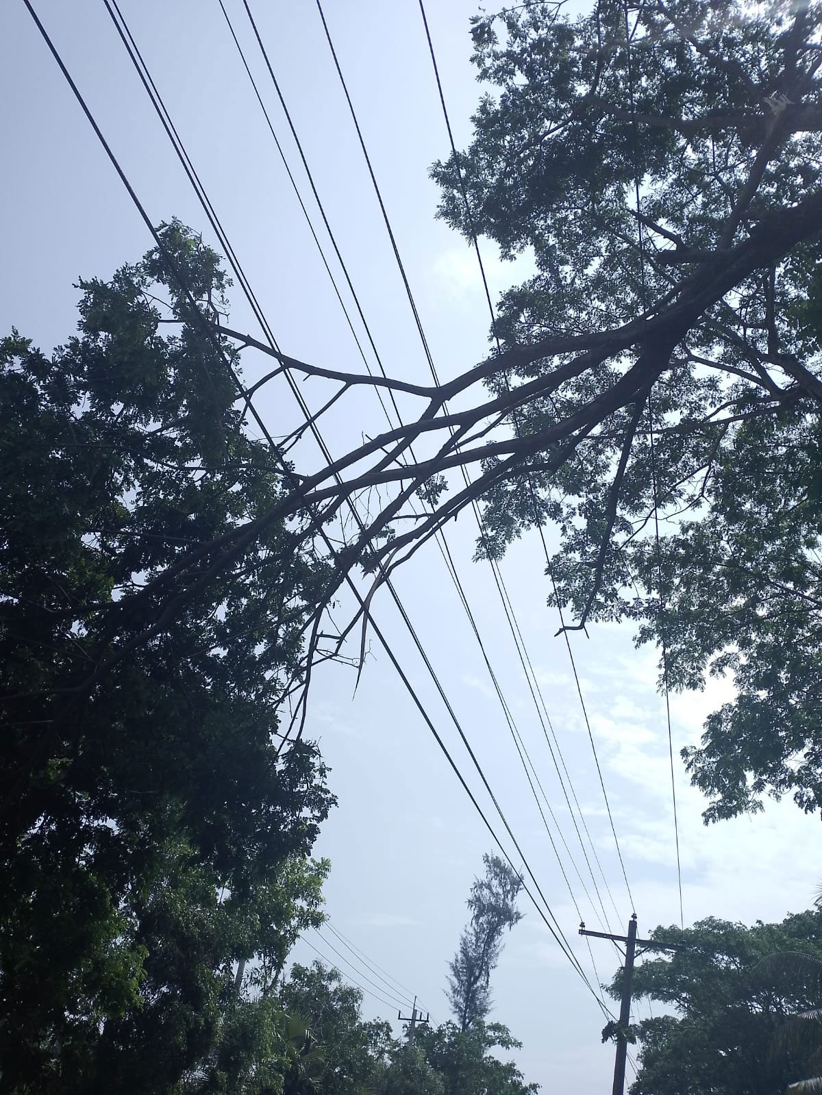 ঝড়ে লাইন ক্ষতিগ্রস্ত, নোয়াখালীতে ১২ ঘণ্টা বিদ্যুৎহীন ৯০ ভাগ গ্রাহক