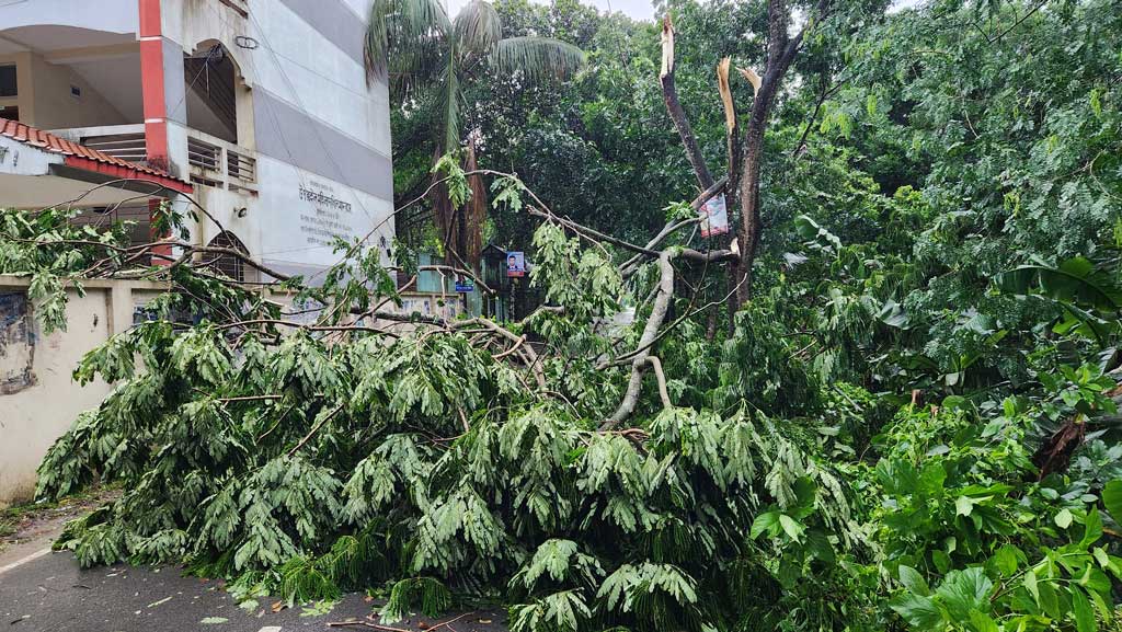 শিবচরে ঝড়ে খুঁটি ভেঙে বিদ্যুৎ-সংযোগ বন্ধ