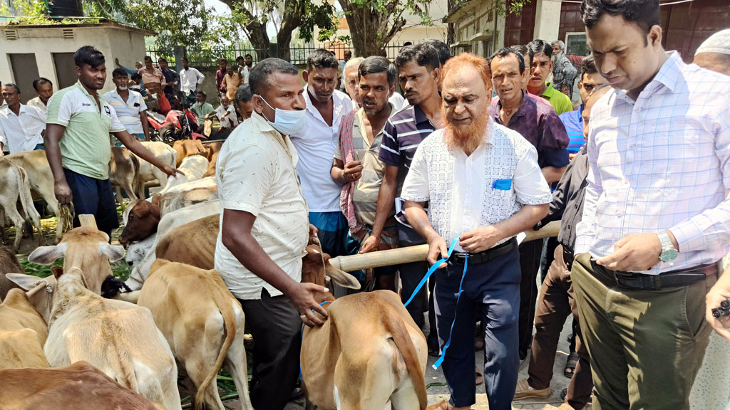 কোটালীপাড়ায় বকনা বাছুর না পেয়ে ফিরে গেলেন অর্ধশত জেলে