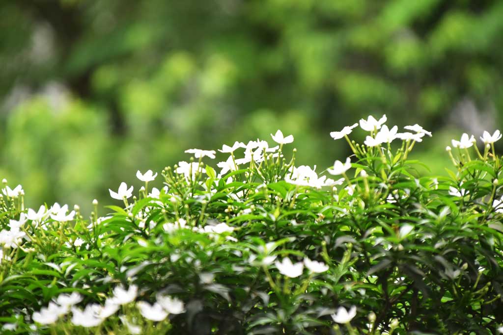 দিনের ছবি (০১ জুন, ২০২৫)