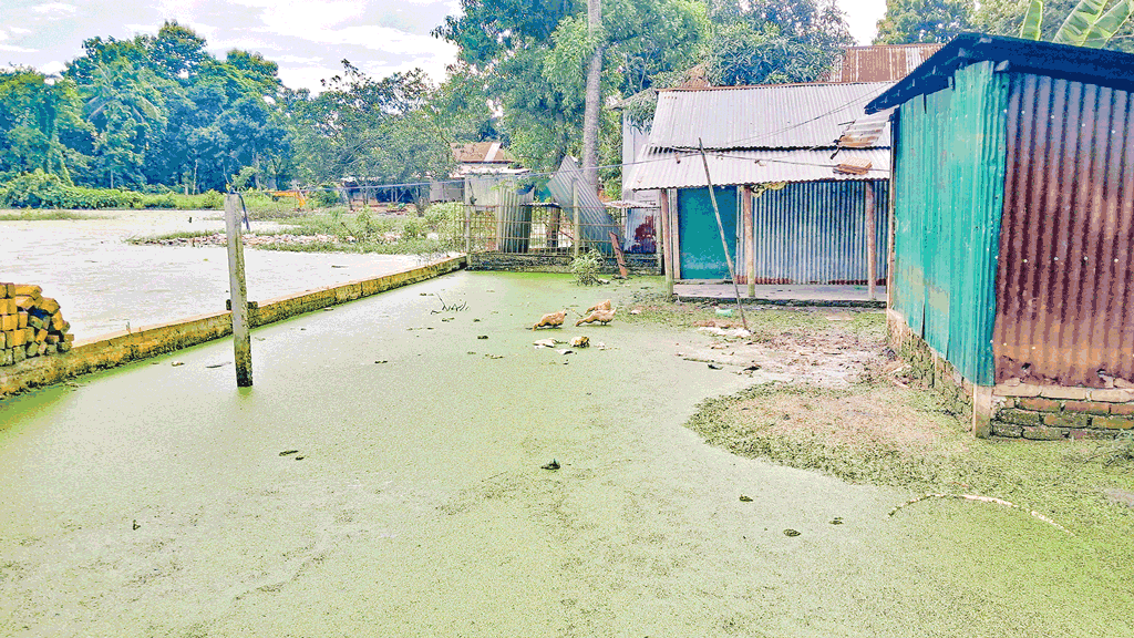 গাজীপুরের শ্রীপুর: সীমানাপ্রাচীরে জলাবদ্ধতা বিপাকে ১৮ রবিদাস পরিবার