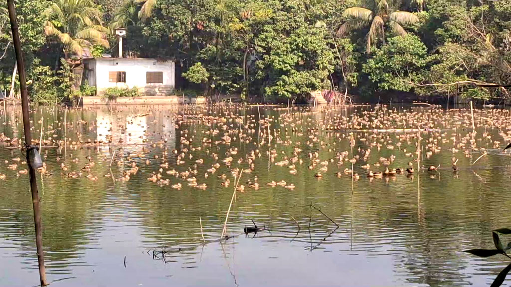 ২ দিন পর মিলল সূর্যের দেখা, তাপমাত্রা নিয়ে যা বলল আবহাওয়া দপ্তর