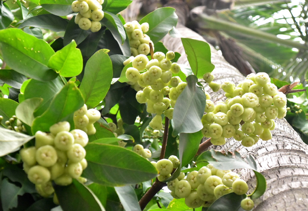 দিনের ছবি (৭ মে, ২০২৫)