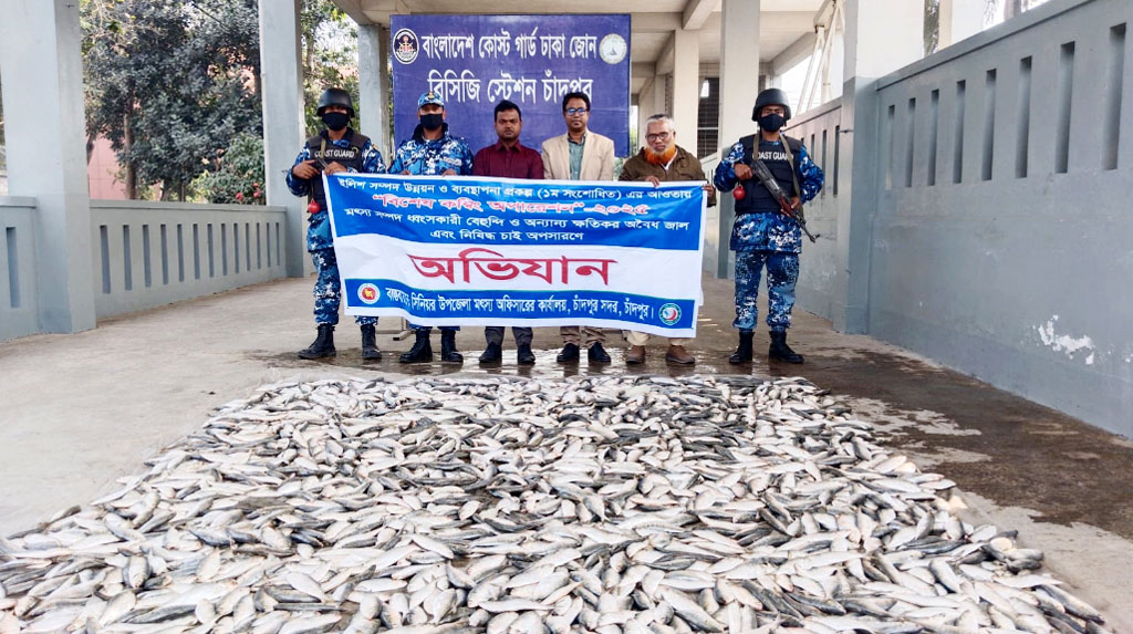 চাঁদপুরে ৫০০ কেজি জাটকা জব্দ