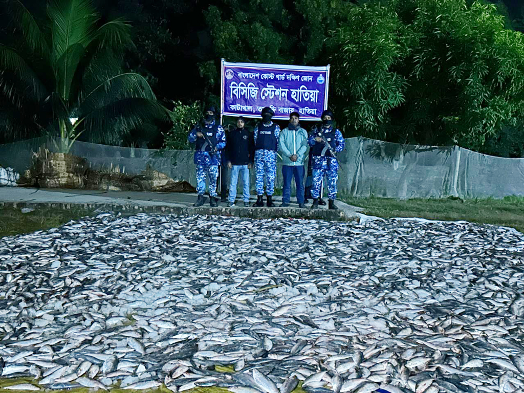 হাতিয়ায় ৫৬০০ কেজি জাটকা ইলিশ জব্দ, এতিমখানায় বিতরণ