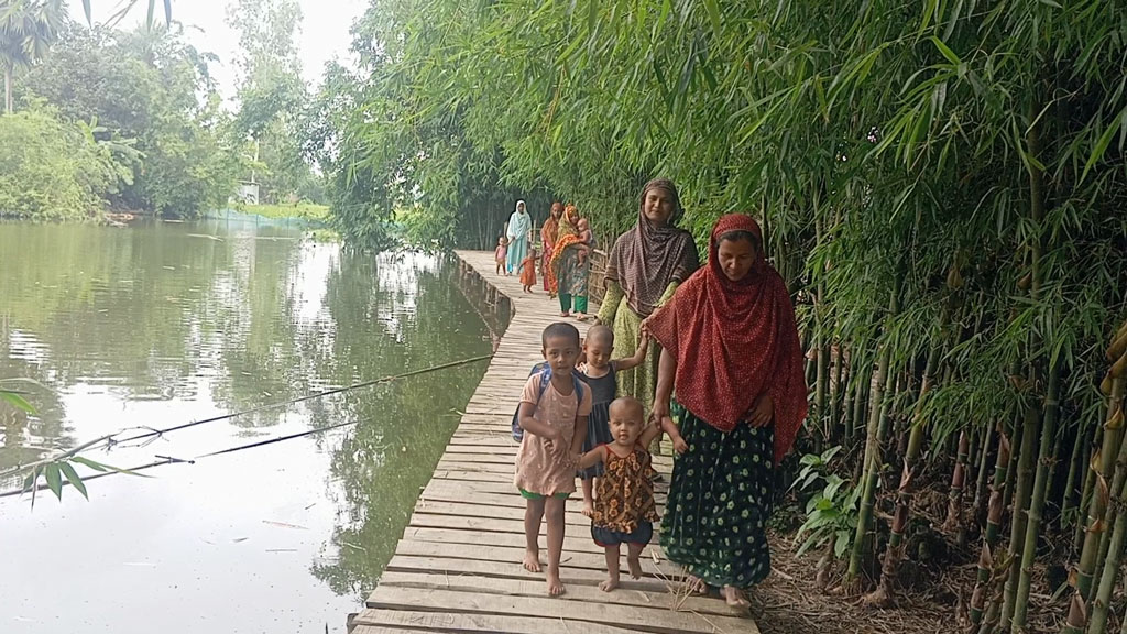 বাঁশের সাঁকো দিয়ে ঝুঁকিপূর্ণ যাতায়াত, শিশু পড়েছে পুকুরে তিনবার
