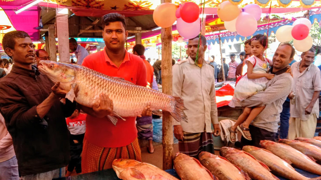 নবান্নে জমে উঠেছে কালাইয়ের মাছের মেলা