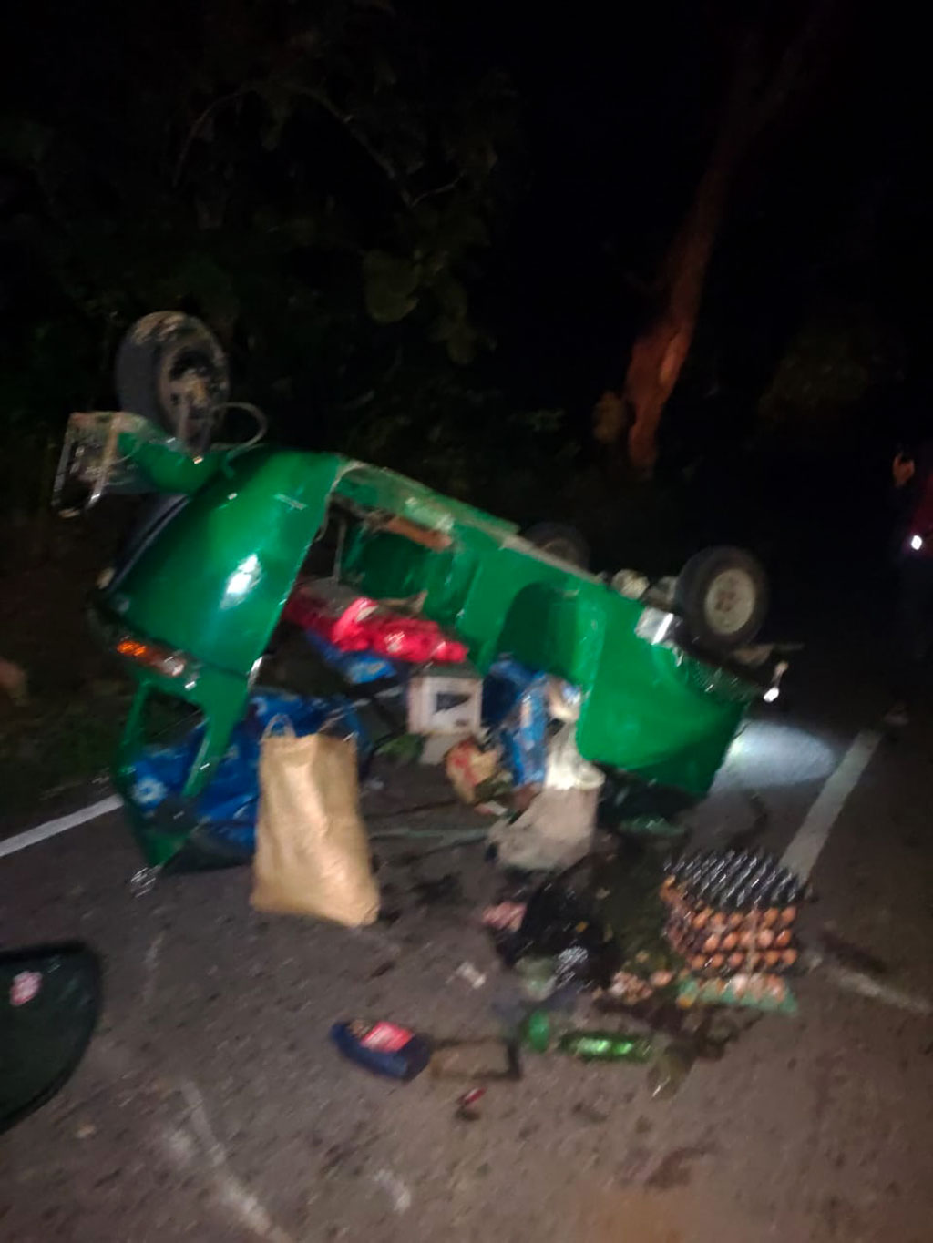 কাপ্তাইয়ে বন্য হাতির আক্রমণে বৃদ্ধার মৃত্যু, আরও একজন আহত