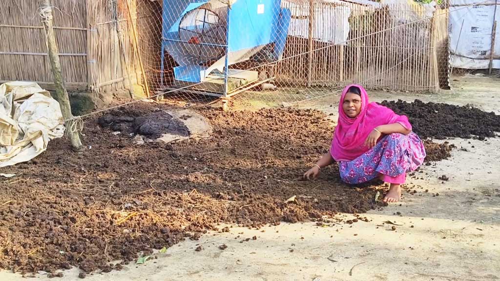কেঁচো সারে ভাগ্যবদল মাকরাইল গ্রামের নারীদের