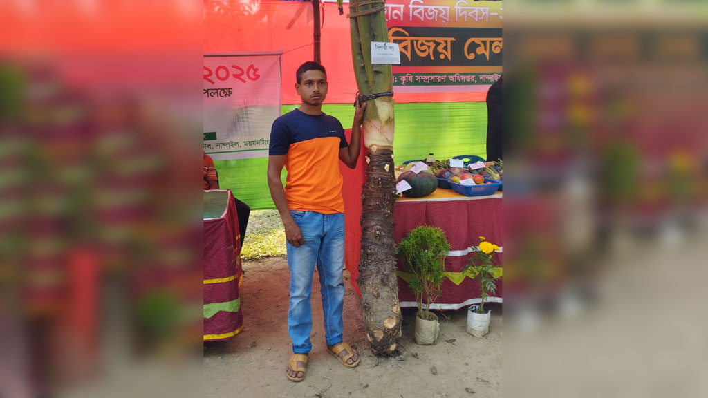 মেলায় মিলল ৬০ কেজি ওজনের কচু