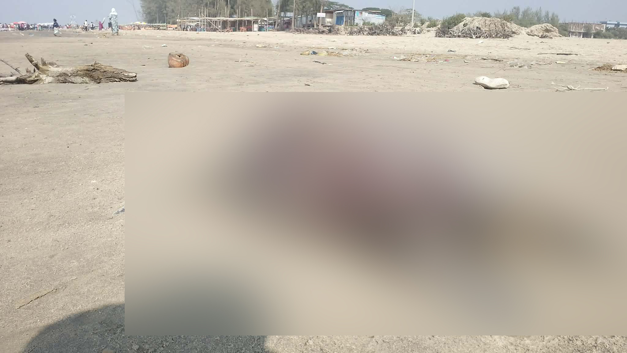 পারকি সৈকতে দুই কচ্ছপের মরদেহ