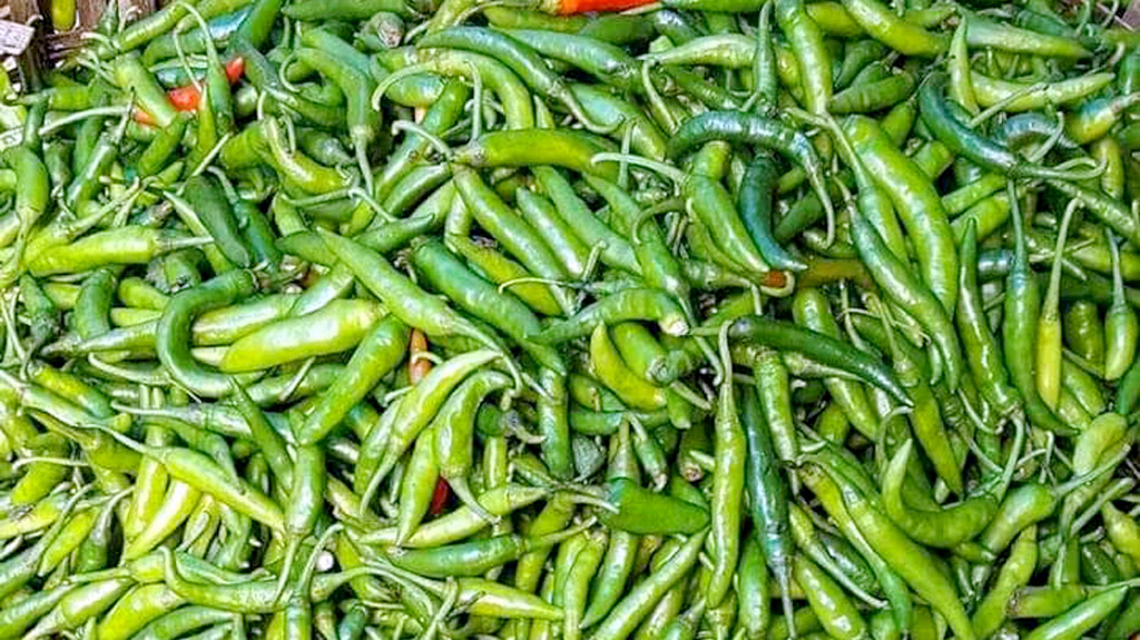 কাঁচা মরিচ আমদানির অনুমতি দিয়েছে সরকার