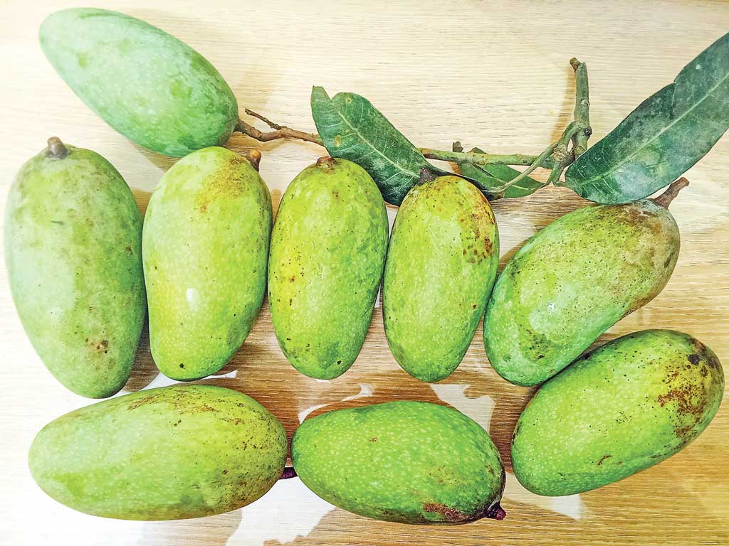 হারিয়ে যাচ্ছে রাজশাহীর কাঁচামিঠা আম