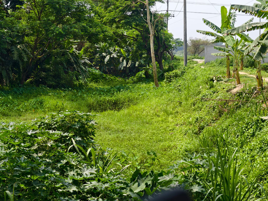 কেরানীগঞ্জে খালের মুখ বন্ধ করে রাস্তা নির্মাণ, জলাবদ্ধতার আশঙ্কায় তিন গ্রামের বাসিন্দারা