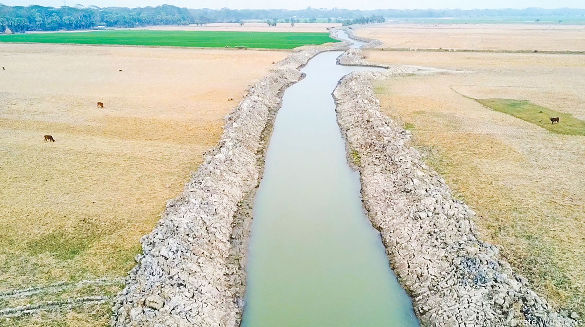 বরগুনার তালতলী: খননে ৯ মরা খালে ফিরল প্রাণ