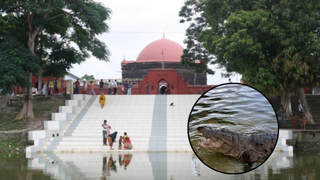খানজাহান আলীর দিঘিতে কুমির এল যেভাবে