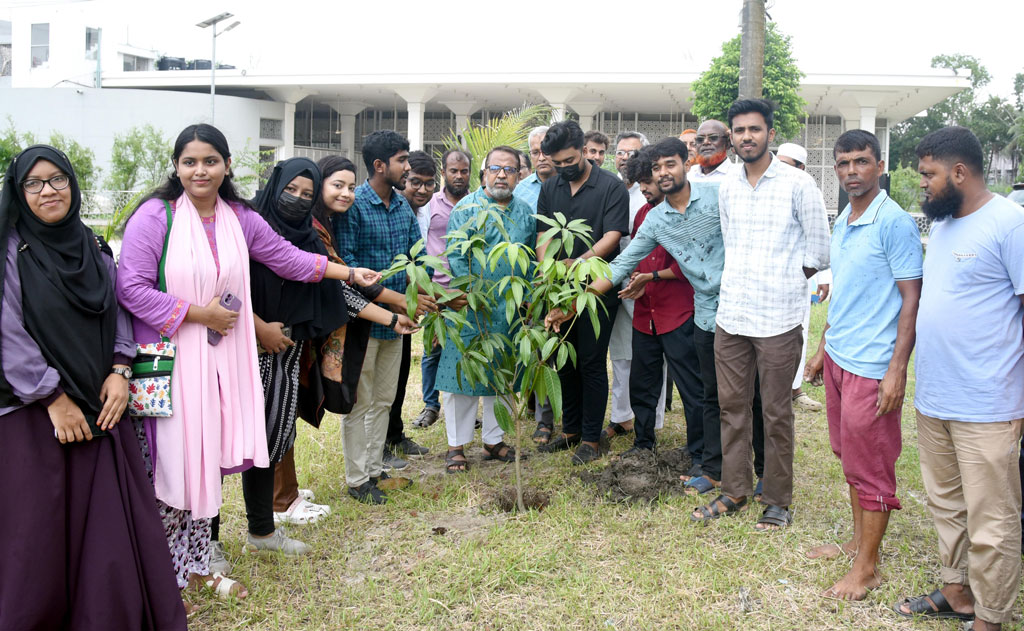 শহিদ মীর মুগ্ধ স্মরণে খুবিতে বৃক্ষরোপণ