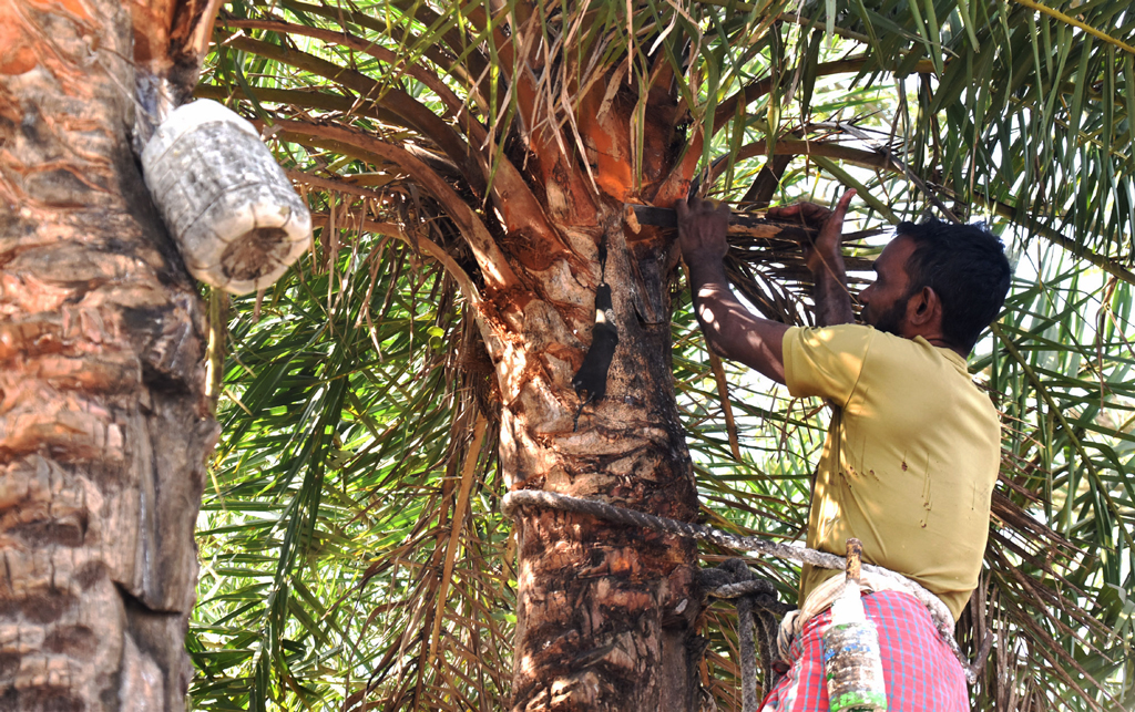 দিনের ছবি (১০ জানুয়ারি, ২০২৬)