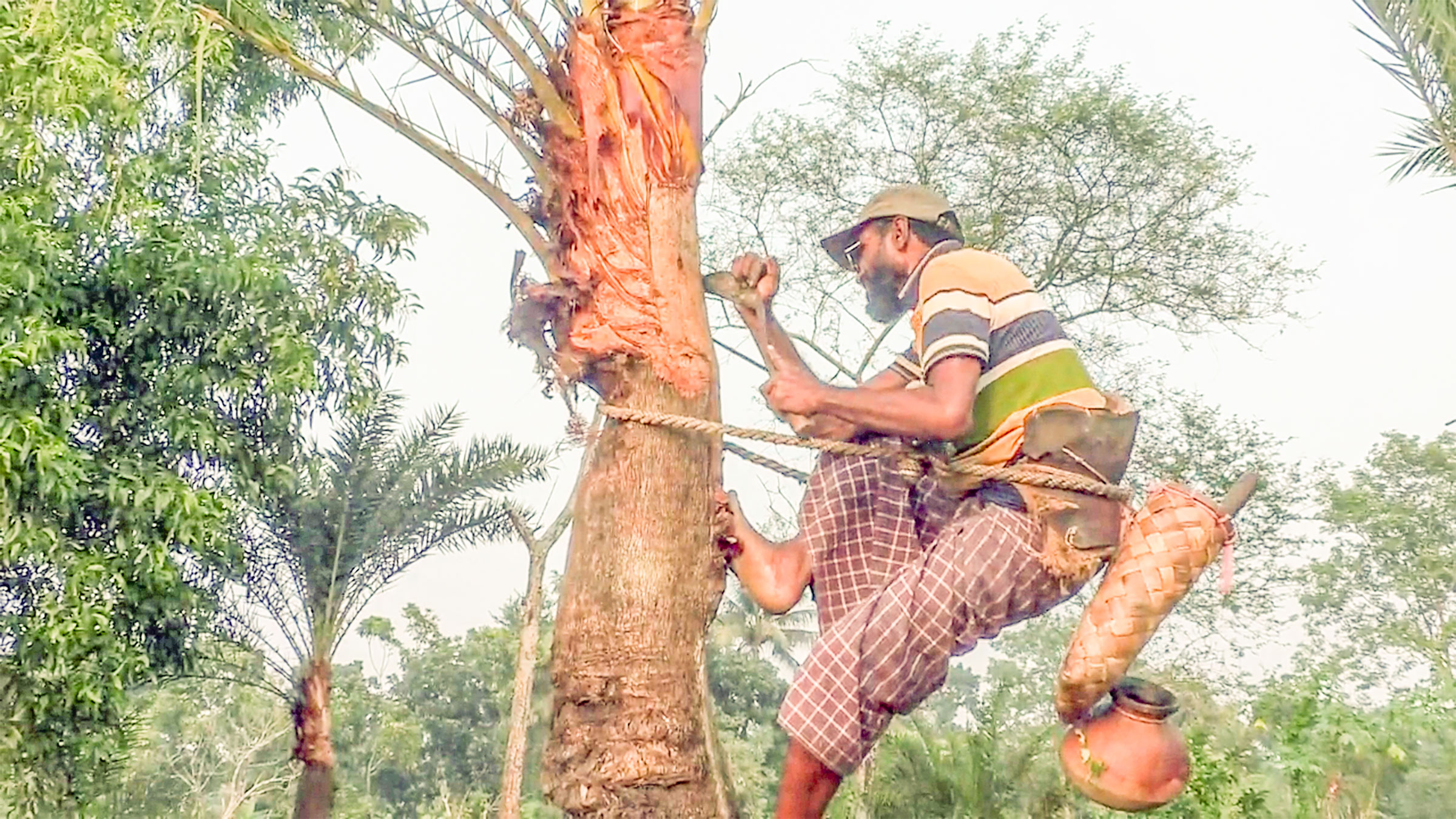 যশোরের খেজুর রস: লক্ষ্য ১২০ কোটি টাকার গুড় উৎপাদন
