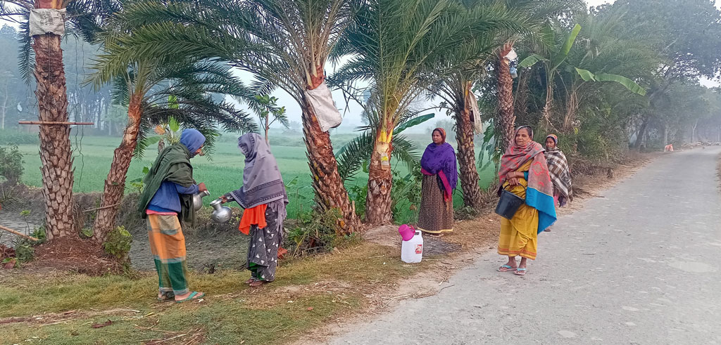 গাংনীতে এবার খেজুরের রস বেশি পাওয়ায় খুশি গাছিরা