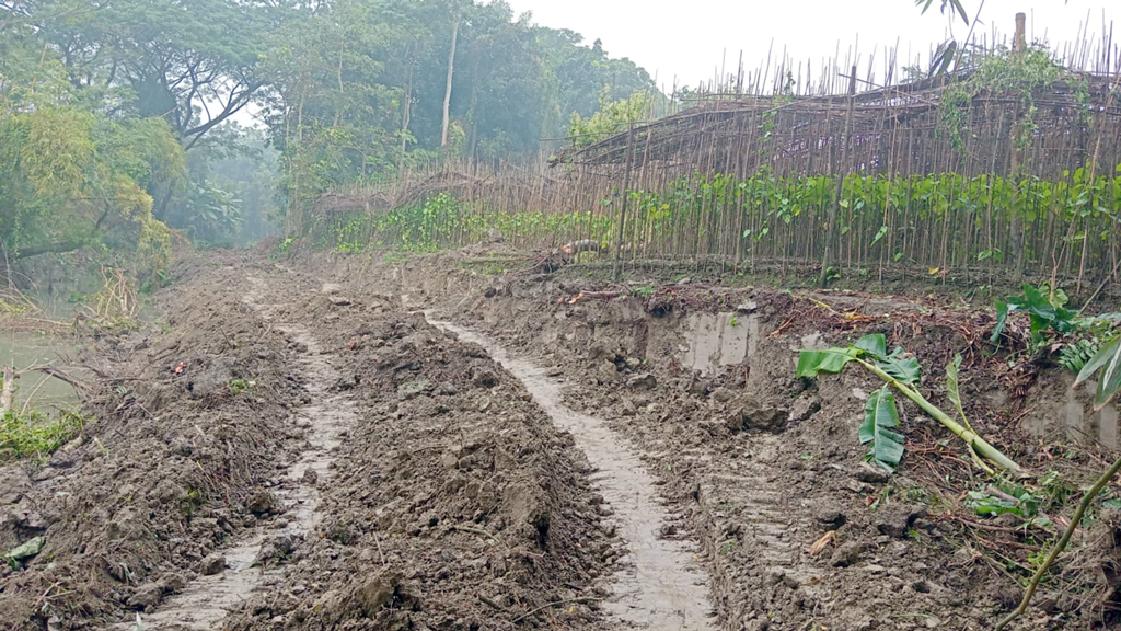 মুলাদীতে ভেকু দিয়ে খাল খননের সময় বাগান-পানবরজ ভাঙার অভিযোগ